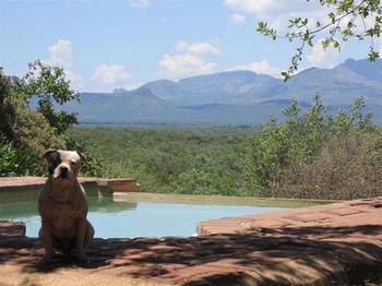 Marula Cottage Guest Lodge Thabazimbi Luaran gambar